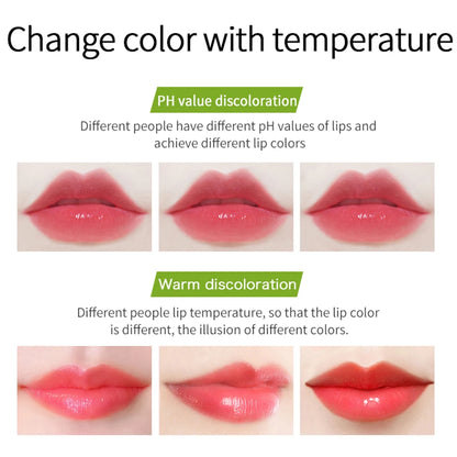 VIBELY New 7 Color Color Mood Changing Lip Balm Natural Aloe Vera Lipstick Long Lasting Moisturizing Makeup Cosmetics for Women