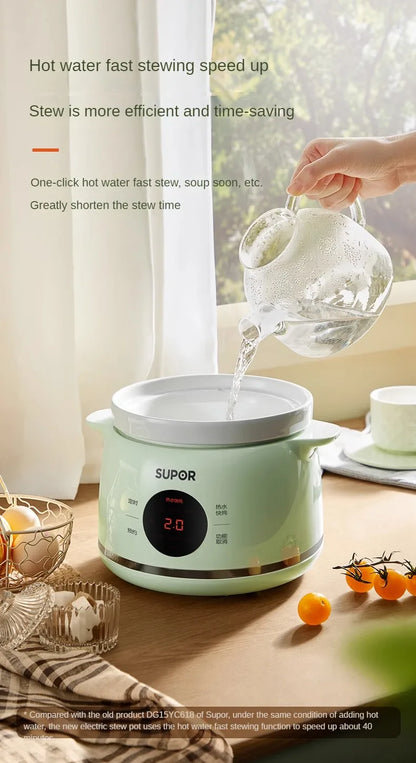 Electric Stewpot Porridge Cooking Health Care BB Pot Ceramic Automatic Stew Soup Pot Slow Cooker Small Stew Pot 1-2 People