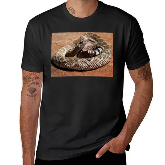 Western Diamondback Rattlesnake T-Shirt cute tops quick-drying for a boy heavy weight t shirts for men