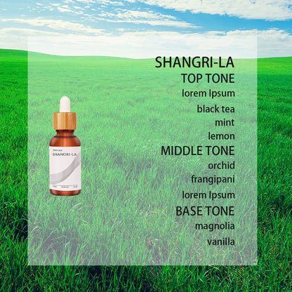 30ml 100ml Essential Oils For Diffuser Aromatherapy Oil For Humidifier Diffuser Home Fragrance Oil Hotel Essential Oil