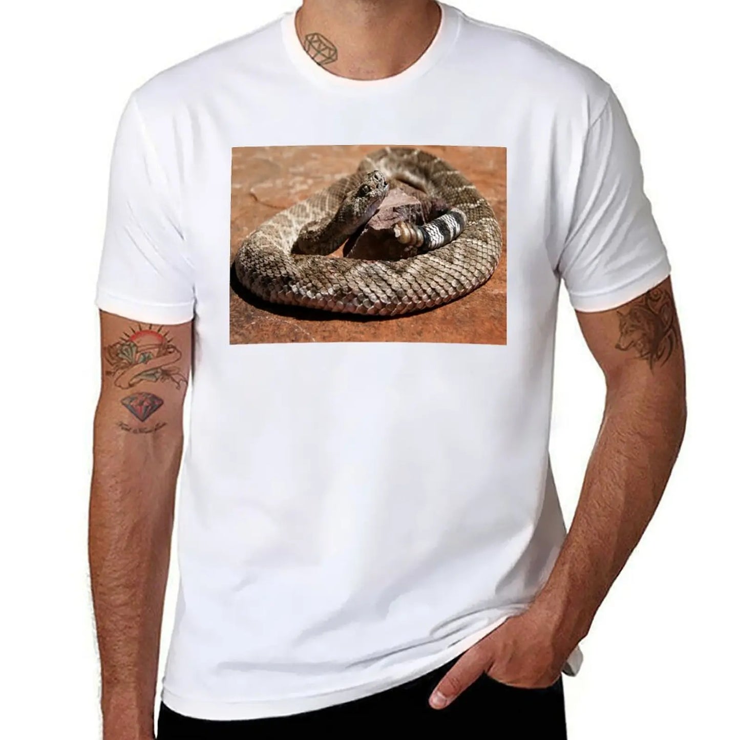 Western Diamondback Rattlesnake T-Shirt cute tops quick-drying for a boy heavy weight t shirts for men