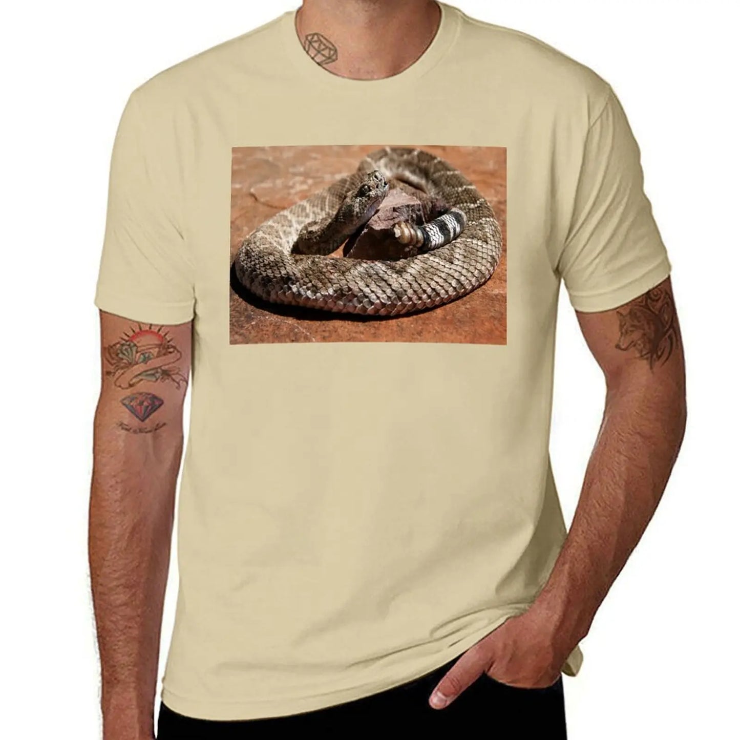 Western Diamondback Rattlesnake T-Shirt cute tops quick-drying for a boy heavy weight t shirts for men