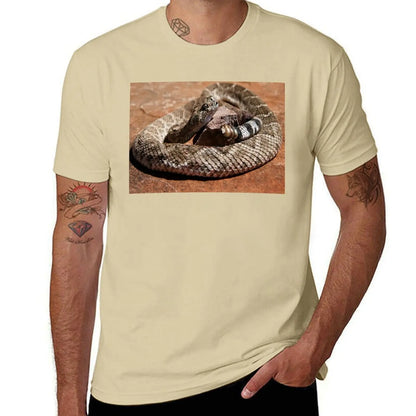 Western Diamondback Rattlesnake T-Shirt cute tops quick-drying for a boy heavy weight t shirts for men