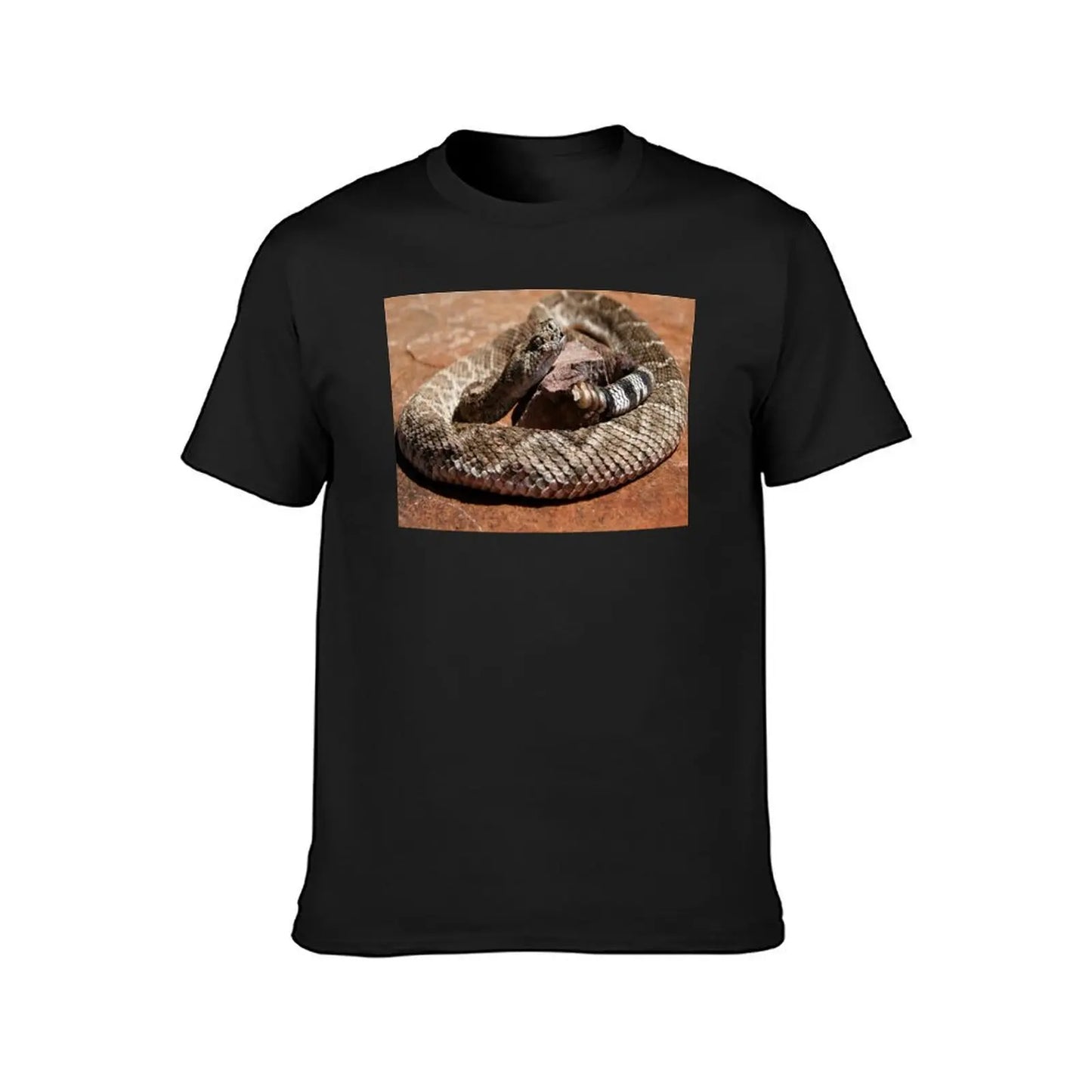 Western Diamondback Rattlesnake T-Shirt cute tops quick-drying for a boy heavy weight t shirts for men